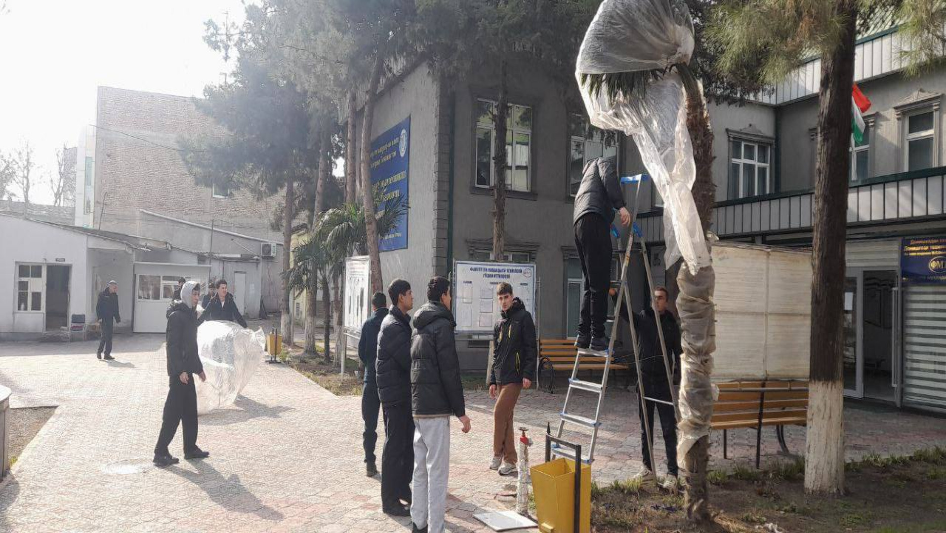 ҲАШАРҲОИ ДАСТҶАМЪОНА ВА ОҒОЗИ МАВСИМИ НИҲОЛШИНОНӢ ДАР ДОНИШКАДА